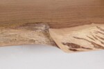 Homemotion - LIBRERIA ENEAS - immagine 5