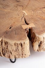 Homemotion - TAVOLINO ENEAS TREE - immagine 4