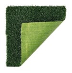 Yes - ERBA SINTETICA VICTORIA 10MM 2500X200 CM - immagine 3