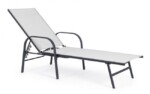 Yes - LETTINO C-BR ARENT ANTRACITE JA18