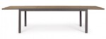 Yes - TAVOLO ALL.ELIAS 200-300X95 ANTRAC SJ61 - immagine 4