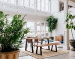 Homemotion - PANCA ARTUR - immagine 5