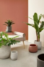 Bizzotto - SET3 P.VASO TRESSAGE TO TERRACOTTA - immagine 3