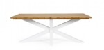 Homemotion - TAVOLO PALMDALE RETT 200X100 BIANCO RT01 - immagine 3