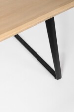 Homemotion - TAVOLO NASHIK 200X100 - immagine 3